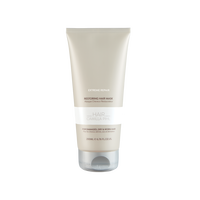 Repair Mask